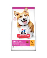 HILLS_SMALL_MINI_ADULT