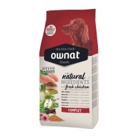 OWNAT_DOG_CLASSIK