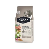 OWNAT_DOG_LIGHT