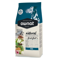 OWNAT_FISH_DOG6